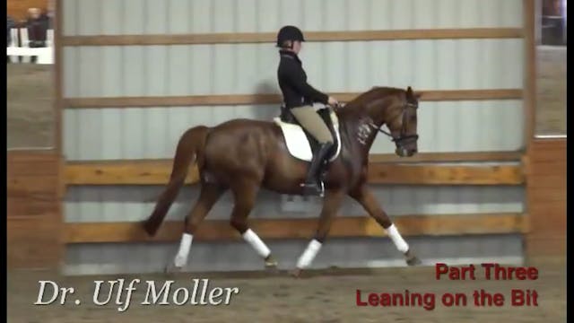 Lateral Work to Improve the Gaits