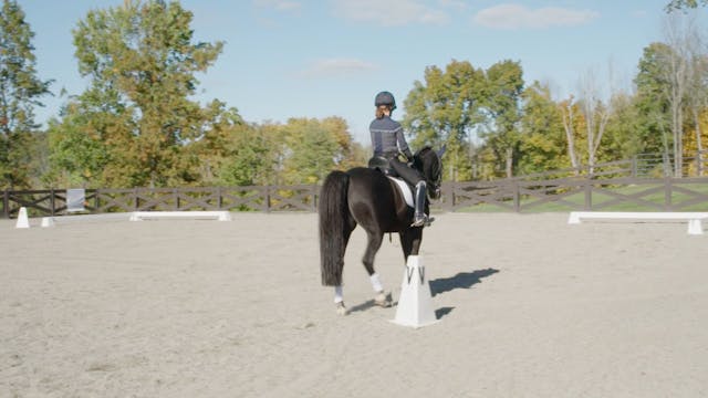 Schooling an Upper-Level Pony – Warm-Up