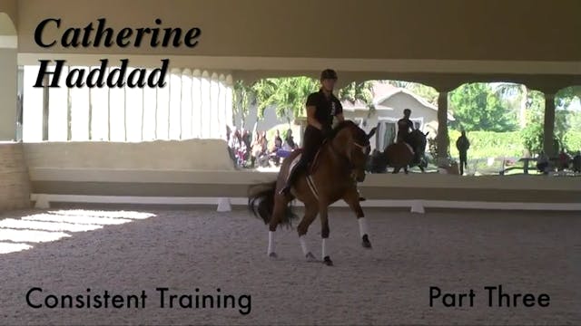 Consistent Training | Catherine Hadda...