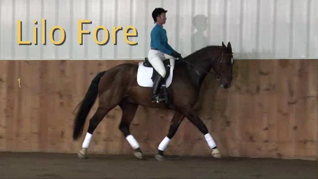 Walk canter, rein back, leg yield - 1...