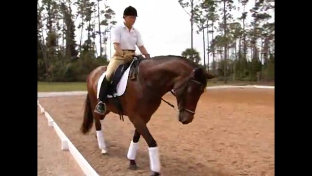 Warm Up, Basics | Nancy Later