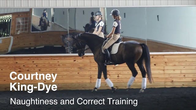 Naughtiness and Correct Training 3