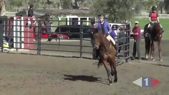 Improving Your Turns For Show Jumping...
