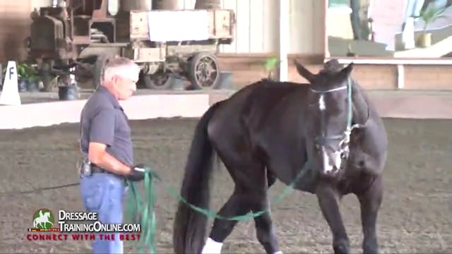 USDF Sport Horse Prospect Development...