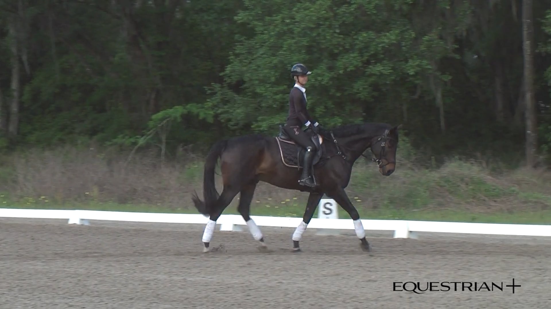 Stretchy Trot | Peter Gray | TRAILER