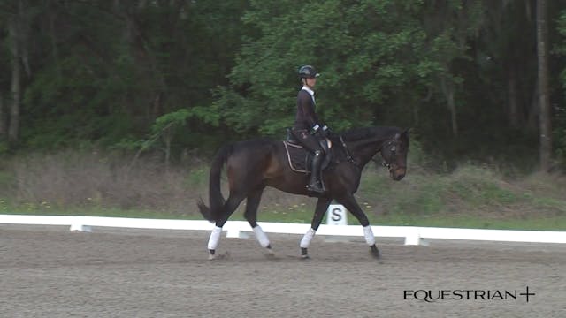 Stretchy Trot | Peter Gray | TRAILER