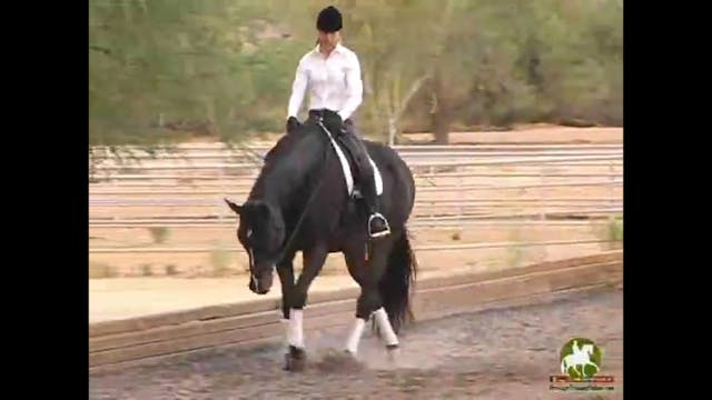 Flying Changes, A Dressage Riders Nig...