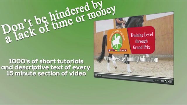 Canter Aids Tutorial | Nancy Later