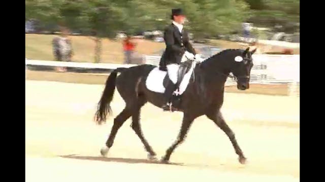 Jan Brink: Transition Work for Young ...