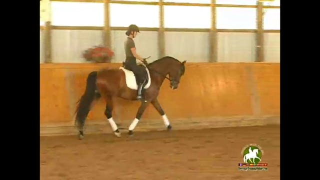 Third/3rd Level Training, Through the...