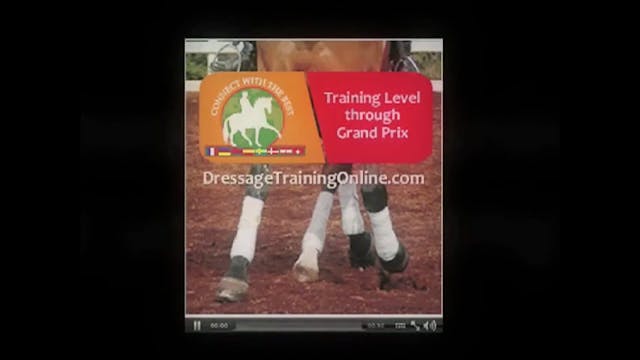 Walk canter, rein back, leg yield - 1...
