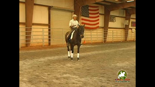 How to fit a saddle, Nine Steps to Pr...