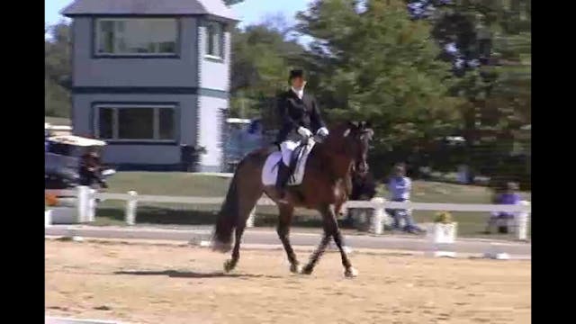 Natalie Lamping judging FEI 6 Year Ol...