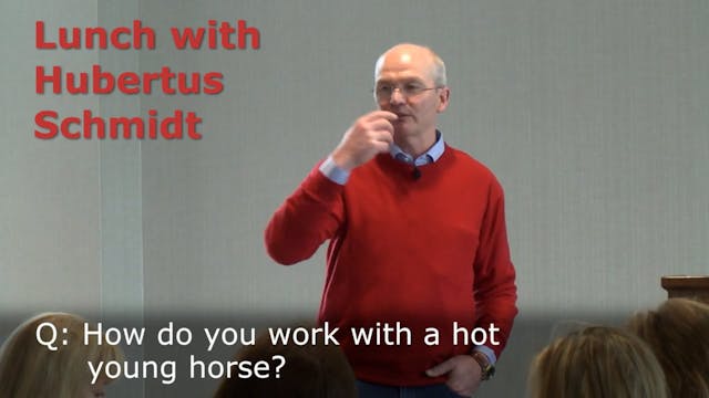 Hot, young horse