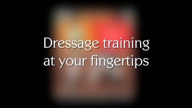 Pressure and how to teach your horse ...