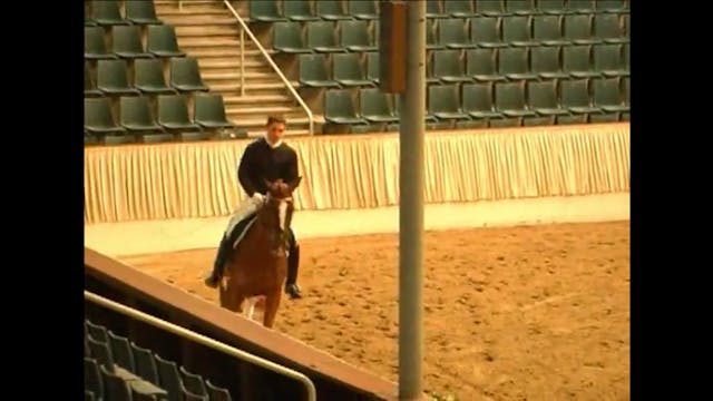 2008 121st Elite Hanoverian Auction, ...