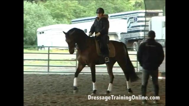 Young Horse: Dealing with Contact Iss...