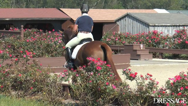 Dressage Lessons with Silva Martin, S...