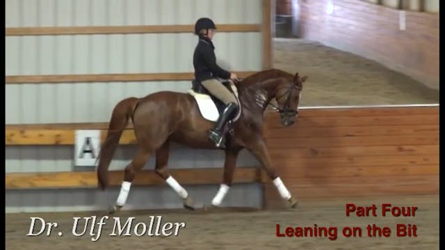 Lateral work to engage the hind leg w...