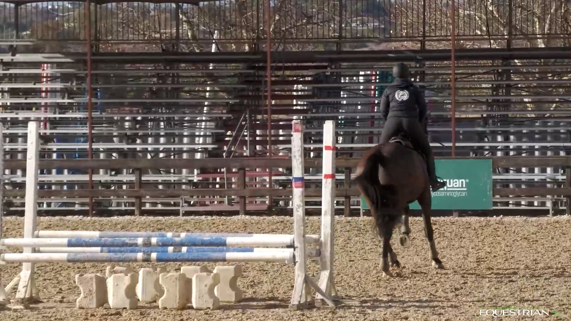 Straightness Over Simulated Cross-Country Jumps | Training | Tom McEwen