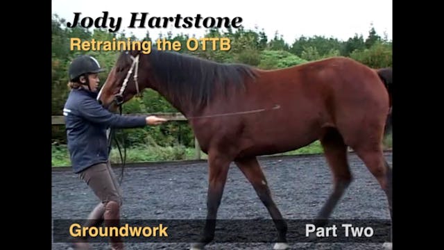 OTTB Groundwork with Jody Hartstone