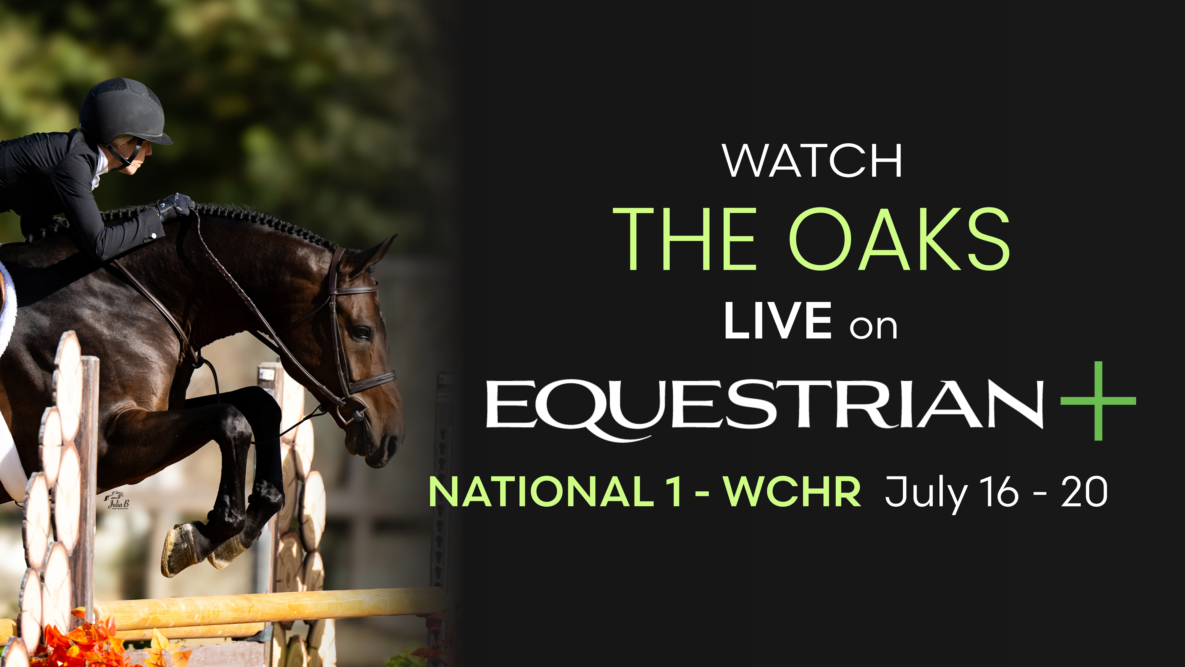 The Oaks | Grand Hunter | National 1 - 07/19/2025, 00:17:57