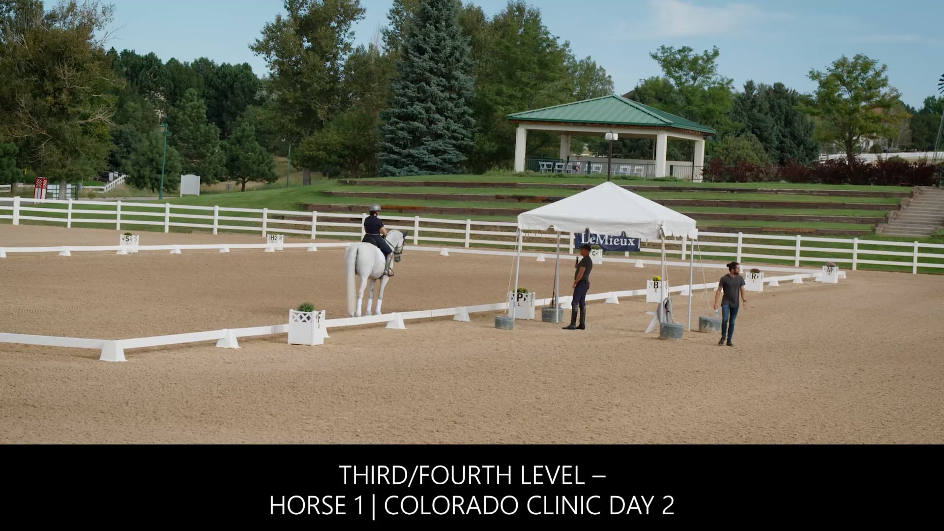 Third/Fourth Level – Horse 1 | Steffen Peters | Colorado Clinic Day 2