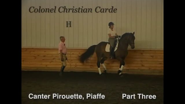 Canter Pirouette, Piaffe at PSG with ...