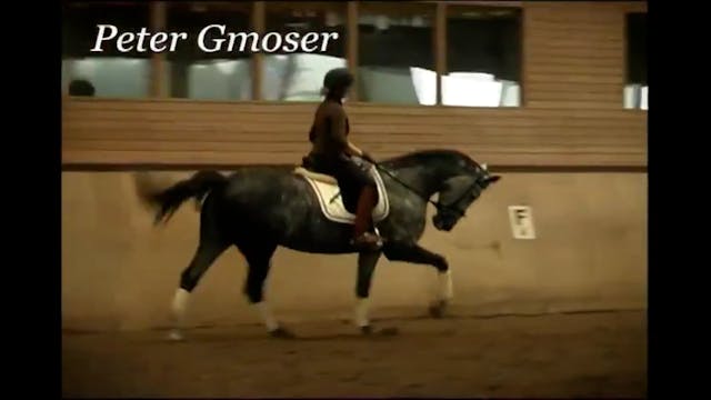 Progressive Training | Peter Gmoser |...