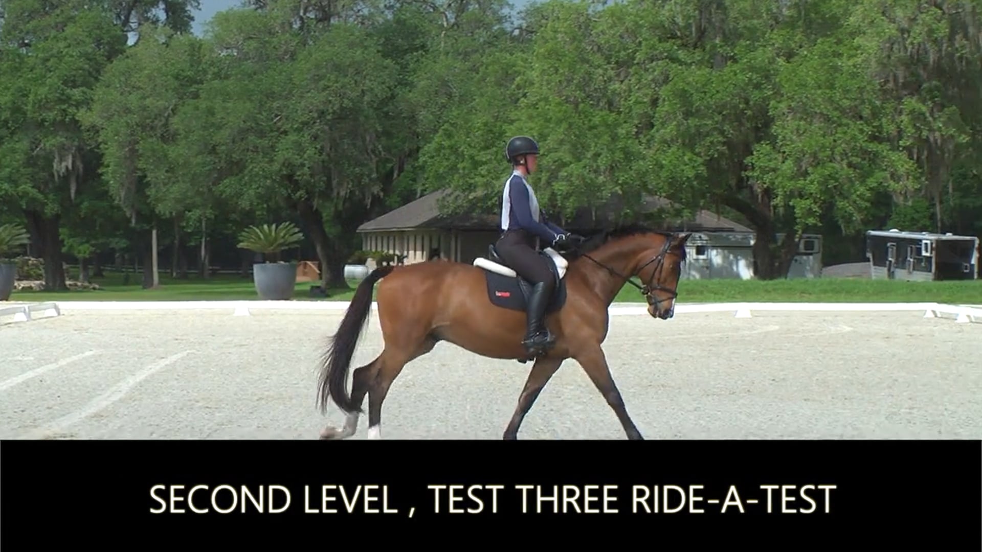 Second Level Test 3 Ride-a-Test | Jodi Ely | TRAILER