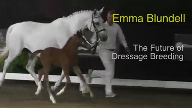 The Future of Dressage Breeding | Emm...