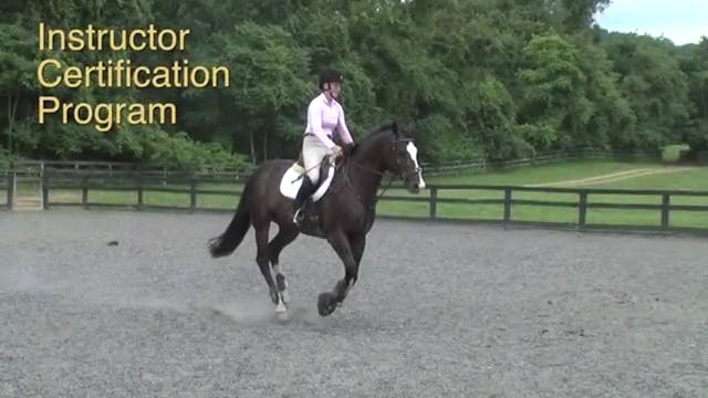 Instructor Certification Program | Ro...