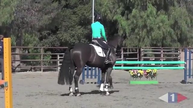 On The Aids For Show Jumping - Part 4