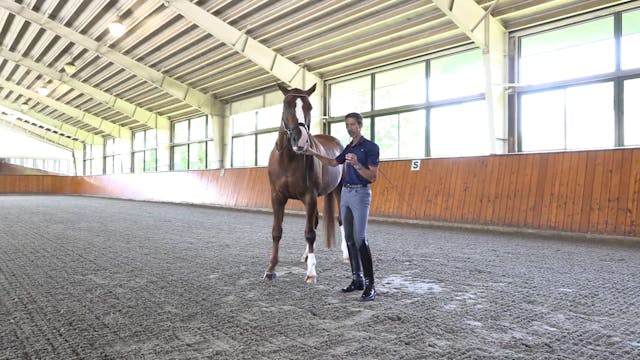 Moving the Hind Leg Laterally | Micha...