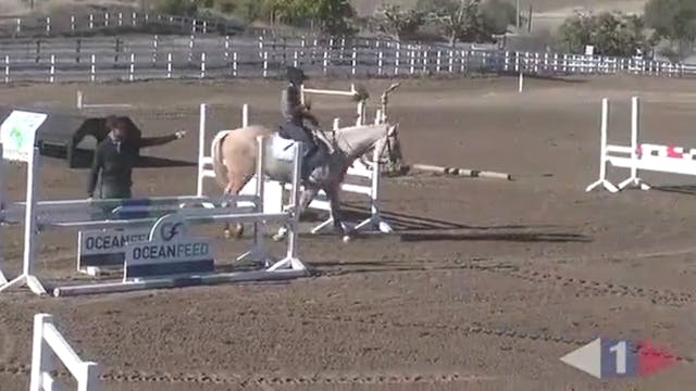 Trotting & Walking Fences | Will Cole...