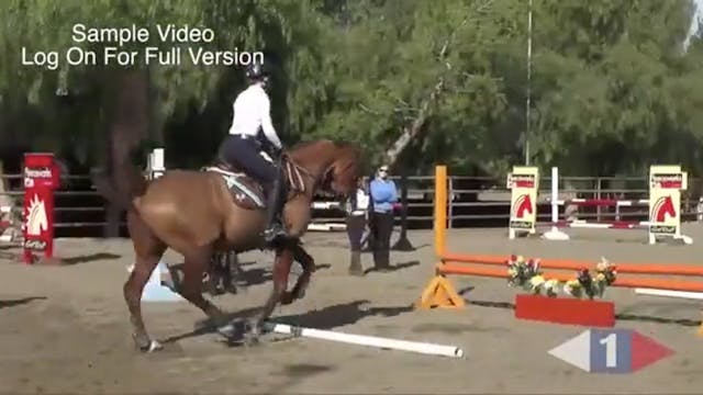 On The Aids For Show Jumping - Trailer 1