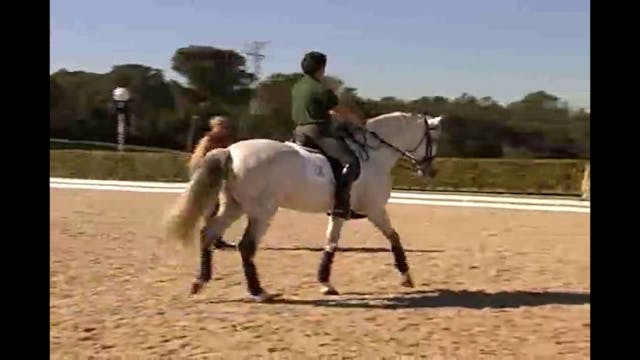 More work within all gaits.