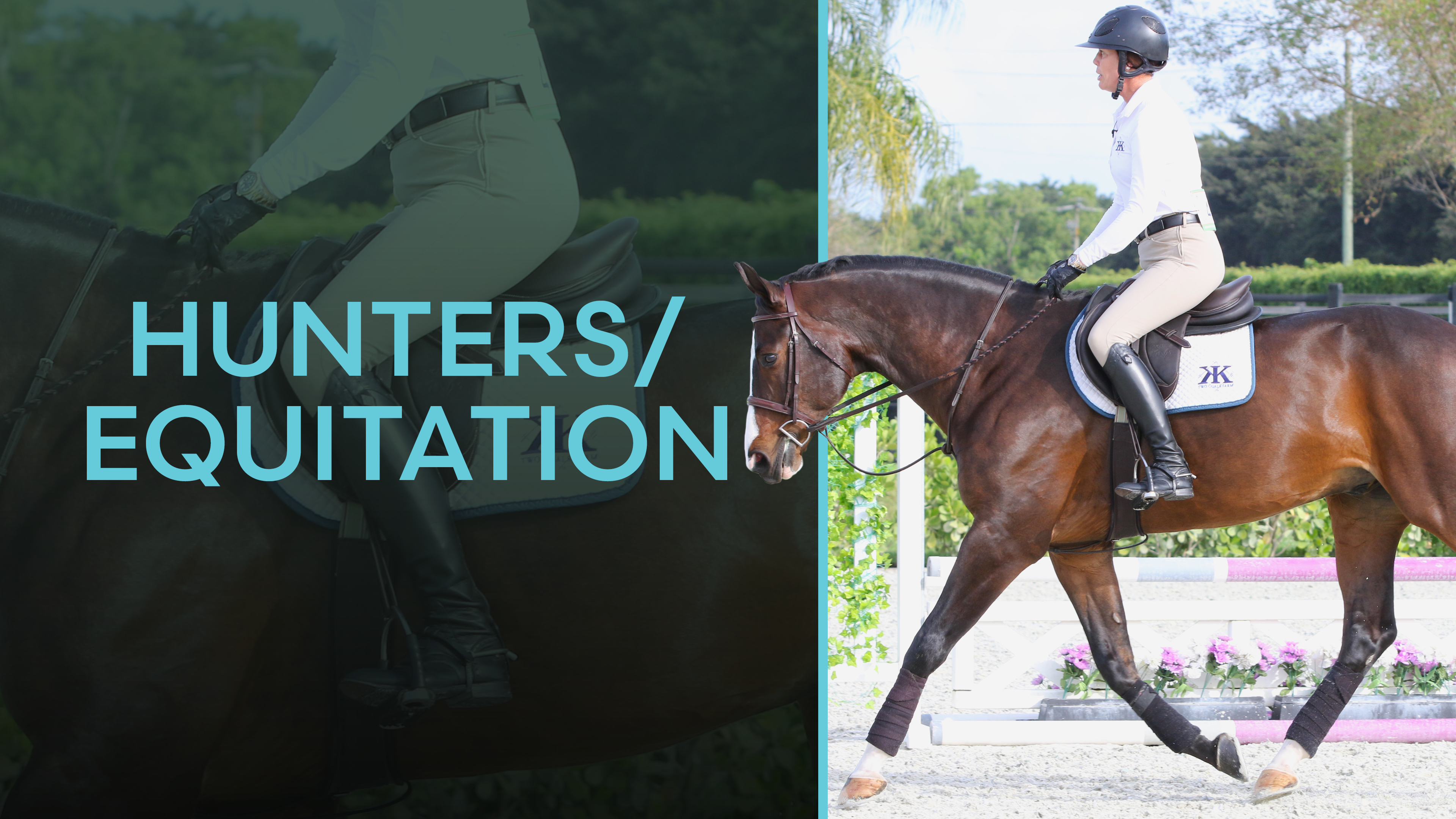 Hunters/Equitation