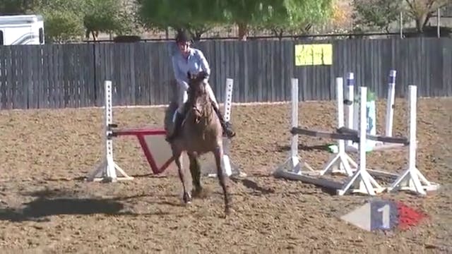 Bouncy Show Jumping Canter - Part 2