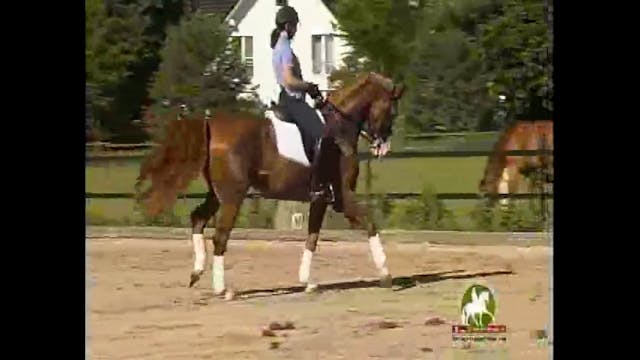 WEG 2010 Reserve Pair, Grand Prix/S L...