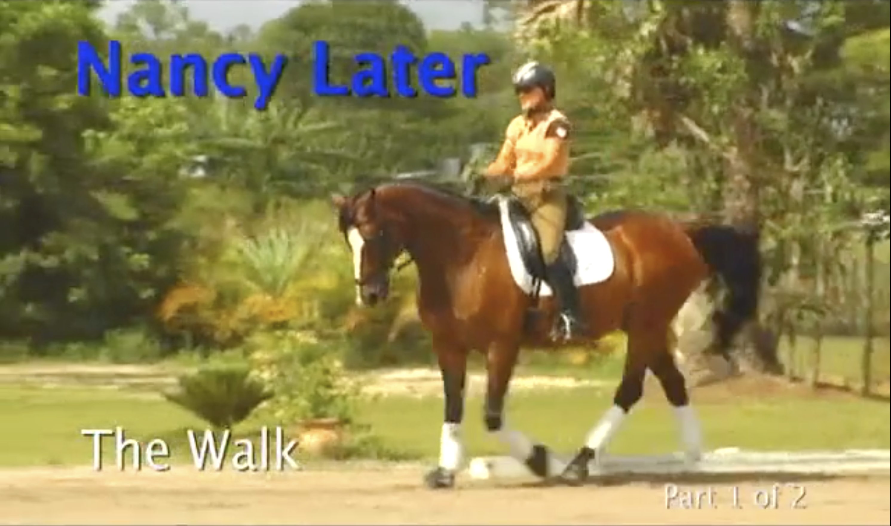 Medium Walk Vs. Extended Walk | Nancy Later | PART 01