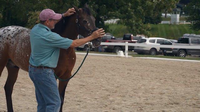 Lateral Flexion | Jim Masterson