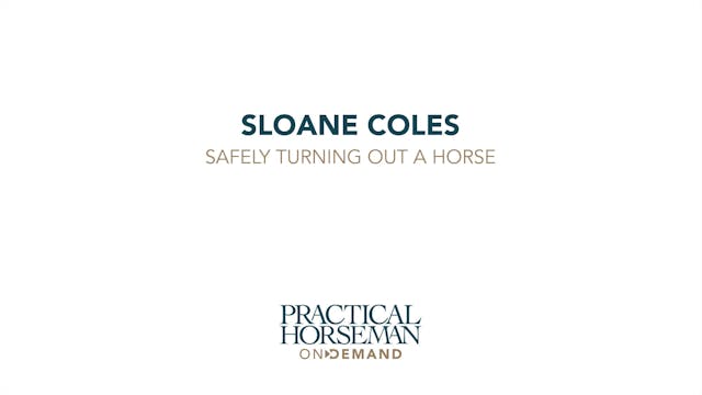 Safely Turning Out a Horse | Sloane C...
