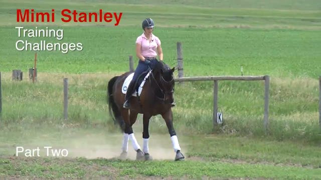 Training Challenges | Mimi Stanley | ...