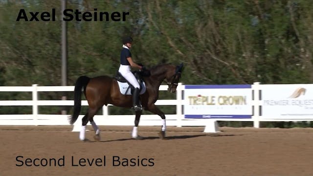 Second Level Basics | Axel Steiner | ...