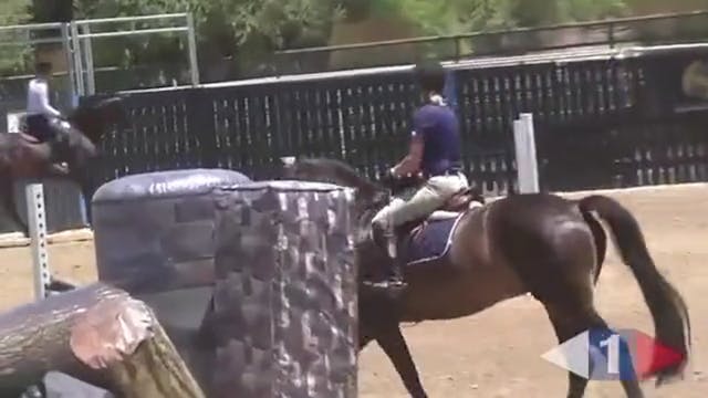 The Right Speed For Show Jumping - Pa...