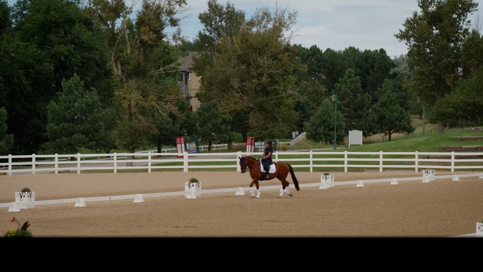 Second/Third Level | Steffen Peters | Colorado Clinic