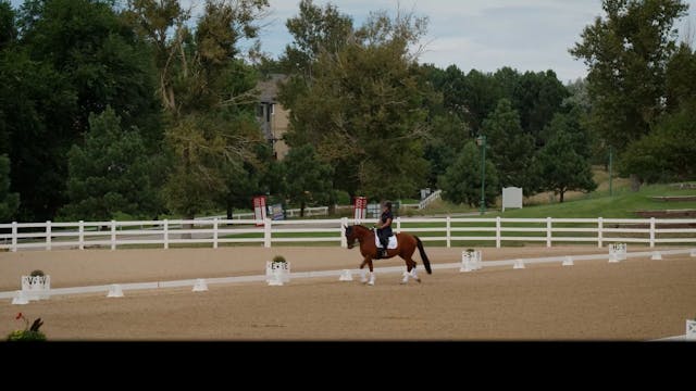 Second/Third Level | Steffen Peters |...