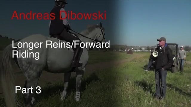 Longer Reins, Forward Riding | Andrea...