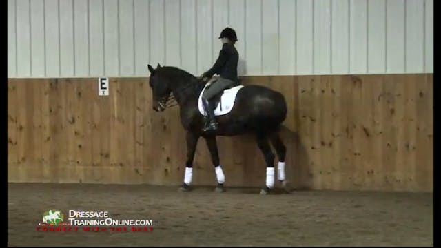 Riding the experienced horse - 2/2012...